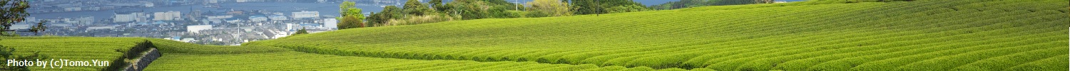 地域別のヘッダー画像